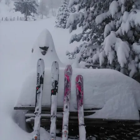 Felix-adults Only Appartamento Neustift im Stubaital