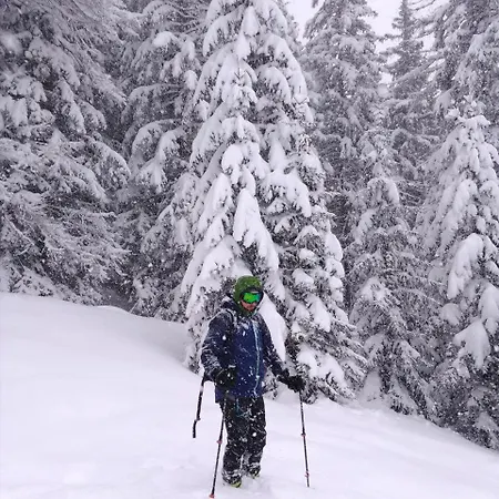 Appartement Felix-adults Only *